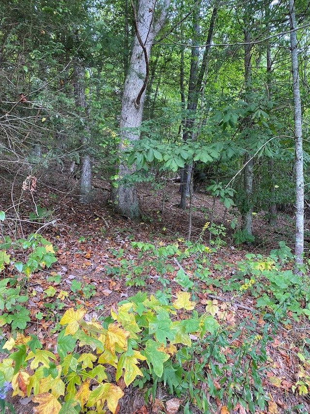 TBD Vaughn Lane, Livingston, TN 38570 - photo 32