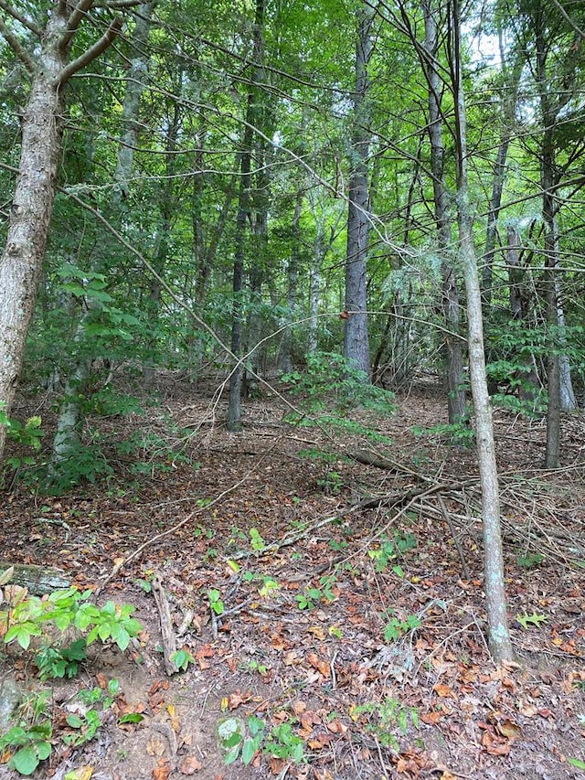 TBD Vaughn Lane, Livingston, TN 38570 - photo 33