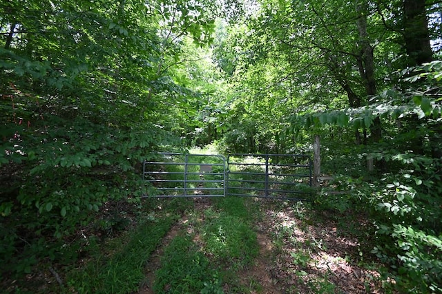 TBD Vaughn Lane, Livingston, TN 38570 - photo 27