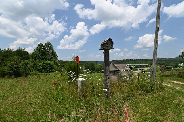 TBD Vaughn Lane, Livingston, TN 38570 - photo 10