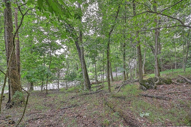 TBD Vaughn Lane, Livingston, TN 38570 - photo 34
