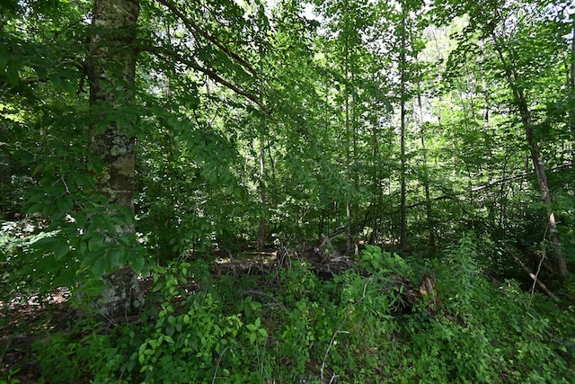 TBD Vaughn Lane, Livingston, TN 38570 - photo 6