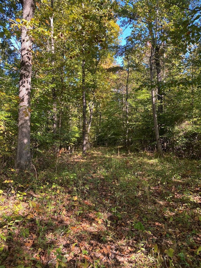 TBD Vaughn Lane, Livingston, TN 38570 - photo 30