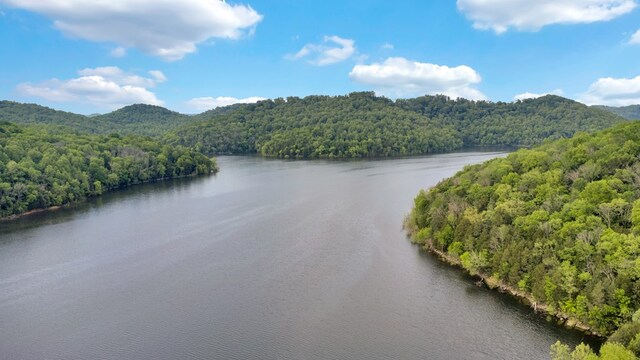 LOT308 Highbridge Dr, Smithville, TN 37166 - photo 13