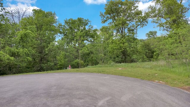 LOT308 Highbridge Dr, Smithville, TN 37166 - photo 5