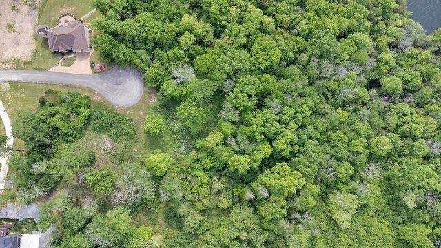 LOT308 Highbridge Dr, Smithville, TN 37166 - photo 3