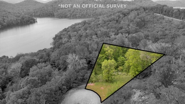 LOT308 Highbridge Dr, Smithville, TN 37166 - photo 4