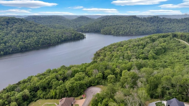 LOT308 Highbridge Dr, Smithville, TN 37166 - photo 1