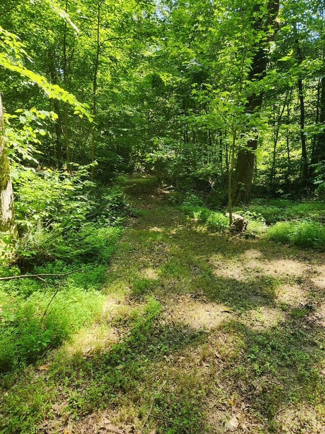  - photo 22