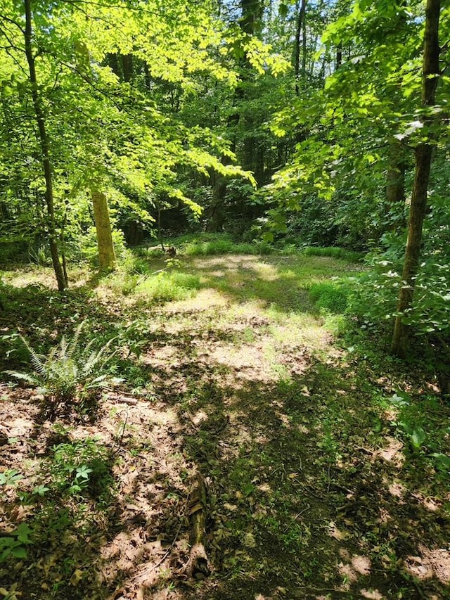  - photo 21