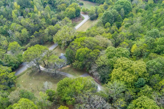 bird's eye view featuring a water view and a forest view