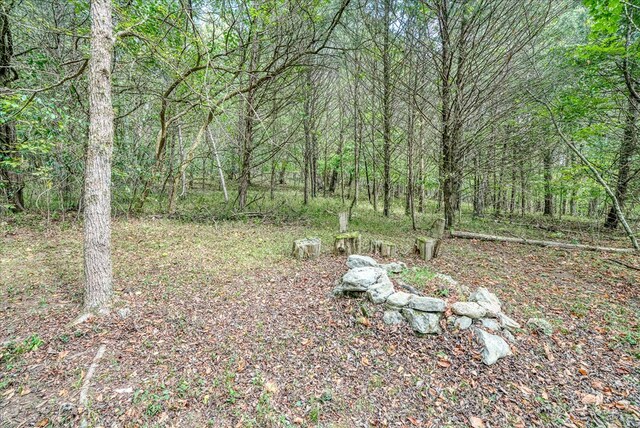 view of yard with a view of trees