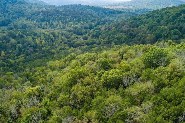 bird's eye view with a view of trees