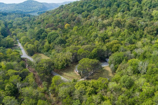 aerial view with a forest view and a mountain view