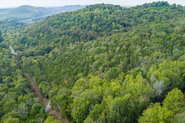 bird's eye view featuring a mountain view and a view of trees