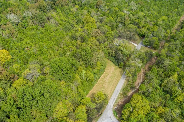 bird's eye view with a view of trees