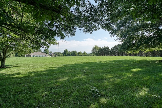 view of yard with a rural view