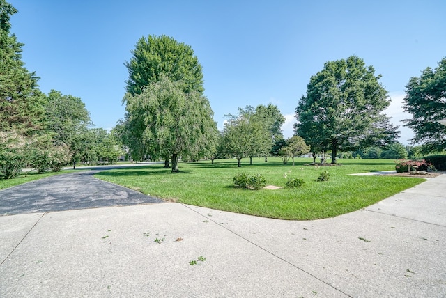 view of street