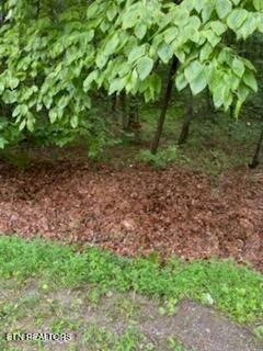 18 Golden Ct, Fairfield Glade, TN 38558 - photo 6