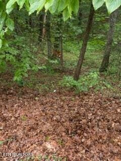 18 Golden Ct, Fairfield Glade, TN 38558 - photo 7