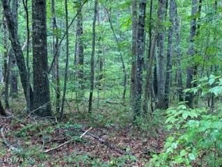 18 Golden Ct, Fairfield Glade, TN 38558 - photo 3