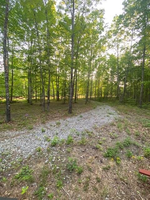 419 Hood Ave, Wilder, TN 38589 - photo 39