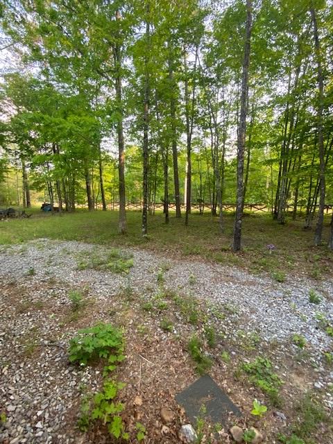 419 Hood Ave, Wilder, TN 38589 - photo 37