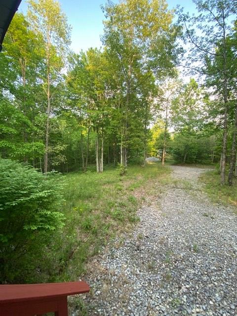 419 Hood Ave, Wilder, TN 38589 - photo 32
