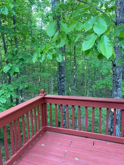 419 Hood Ave, Wilder, TN 38589 - photo 44