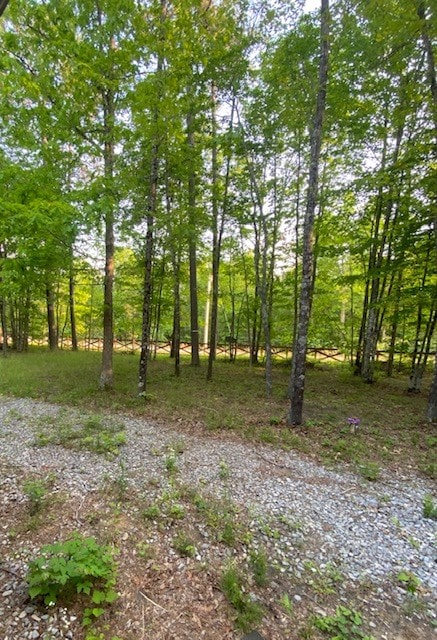 419 Hood Ave, Wilder, TN 38589 - photo 38