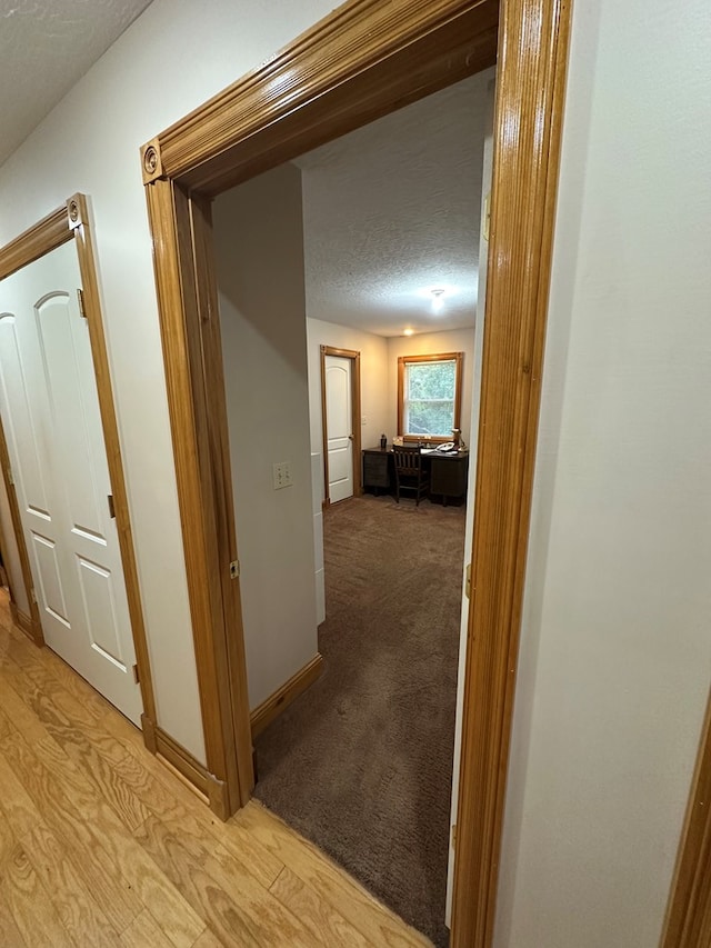 3426 Rugby Pike, Jamestown, TN 38556 - photo 33