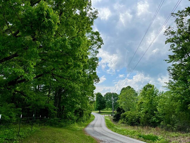396 Turkeytown Rd, Road, Hilham, TN 38568 - photo 1