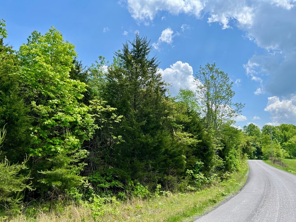 396 Turkeytown Rd, Road, Hilham, TN 38568 - photo 4