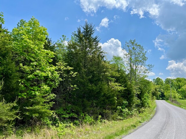 396 Turkeytown Rd, Road, Hilham, TN 38568 - photo 4