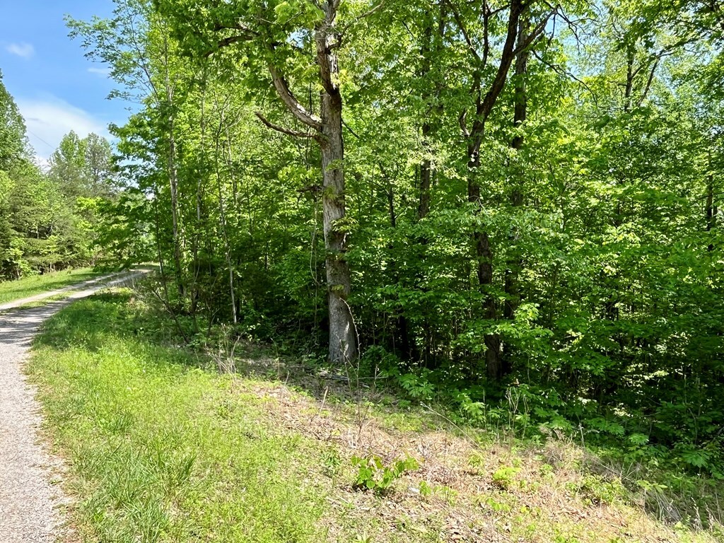 396 Turkeytown Rd, Road, Hilham, TN 38568 - photo 2