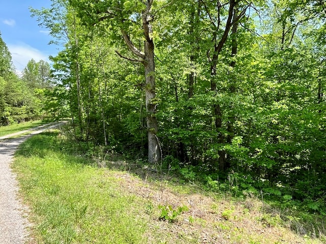 396 Turkeytown Rd, Road, Hilham, TN 38568 - photo 2