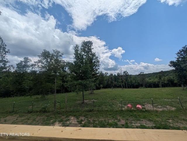 216 Valerie Dr, Deer Lodge, TN 37726 - view of yard featuring a wooded view