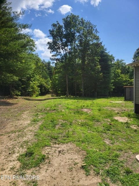 216 Valerie Dr, Deer Lodge, TN 37726 - view of yard