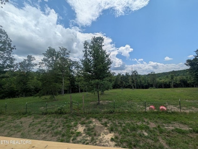 216 Valerie Dr, Deer Lodge, TN 37726 - view of yard with a forest view