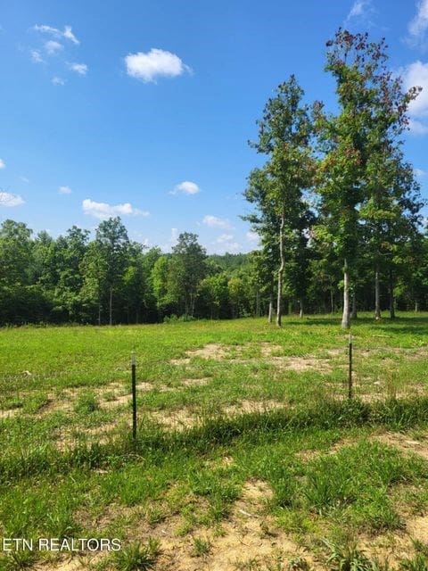 216 Valerie Dr, Deer Lodge, TN 37726 - view of yard featuring a wooded view