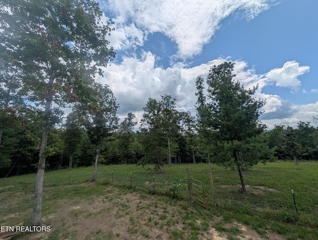 216 Valerie Dr, Deer Lodge, TN 37726 - view of yard with a wooded view