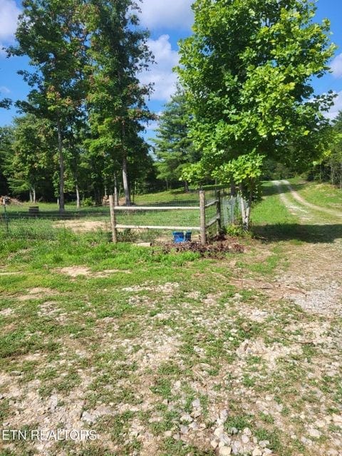 216 Valerie Dr, Deer Lodge, TN 37726 - view of yard