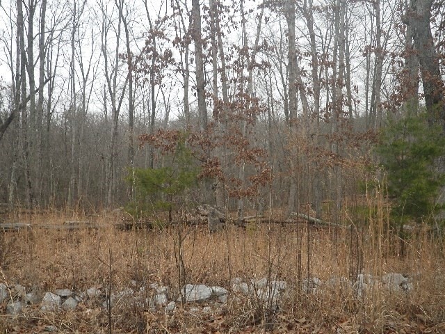 Listing photo 2 for LOT687 Jaguar Trl, Spencer TN 38585