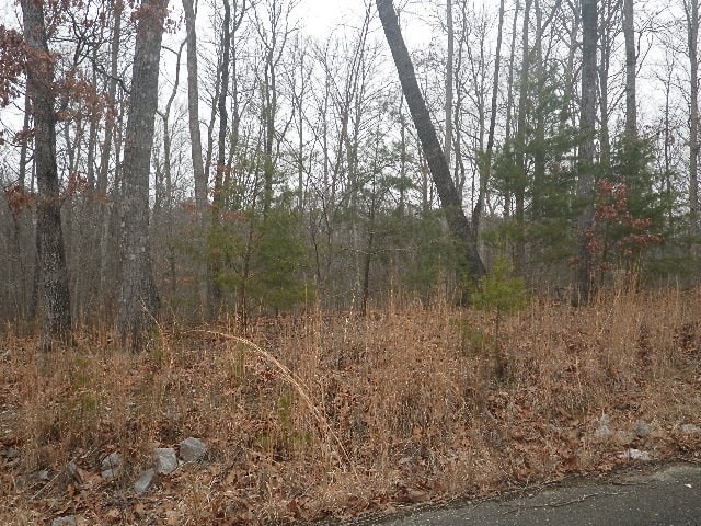 Listing photo 3 for LOT687 Jaguar Trl, Spencer TN 38585