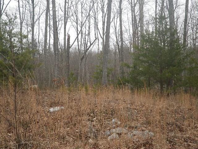 LOT687 Jaguar Trl, Spencer TN, 38585 land for sale