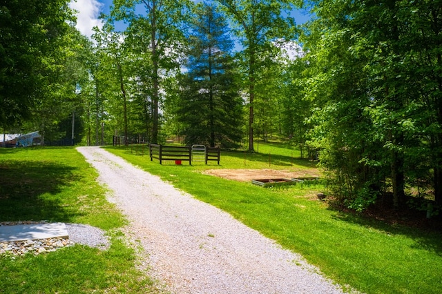 240 Crockett Crk, Jamestown, TN 38556 - photo 4