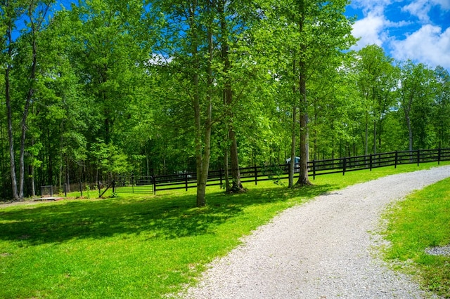 240 Crockett Crk, Jamestown, TN 38556 - photo 6