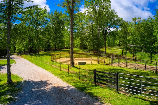 240 Crockett Crk, Jamestown, TN 38556 - photo 10