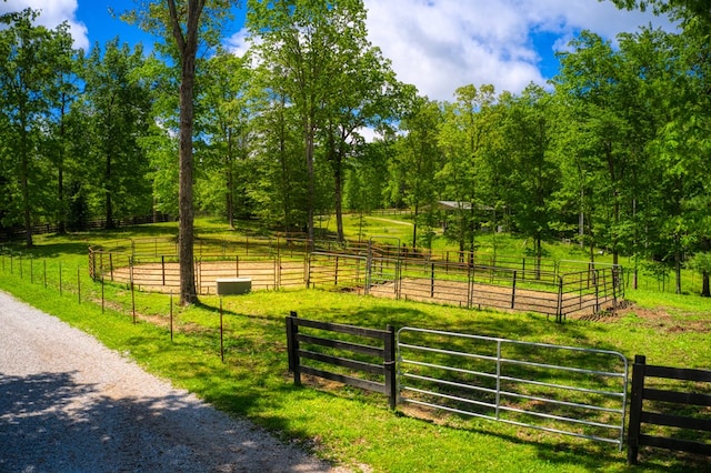 240 Crockett Crk, Jamestown, TN 38556 - photo 9