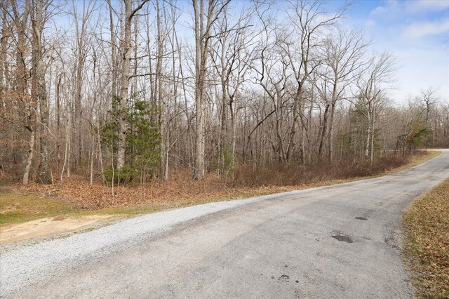 2029 Shalako Dr, Crossville, TN 38572 - photo 6